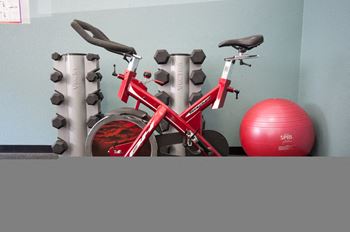 Fitness Center Stationary Bike & Free Weights at Riverwood Apartments, WA 98032